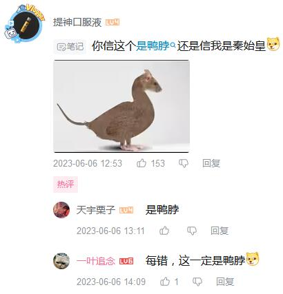 秦始皇是什么梗 你信他还是信我是秦始皇是什么意思（秦始皇是第一代的皇上吗视频播放）