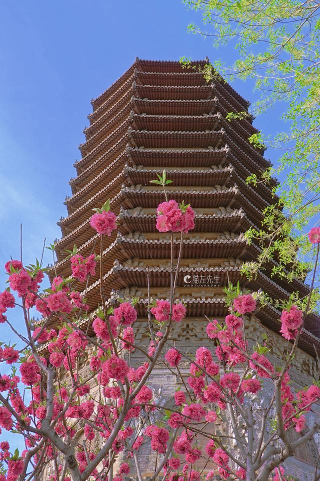 北京慈寿寺塔照片（藏在玲珑公园里的慈寿寺塔）
