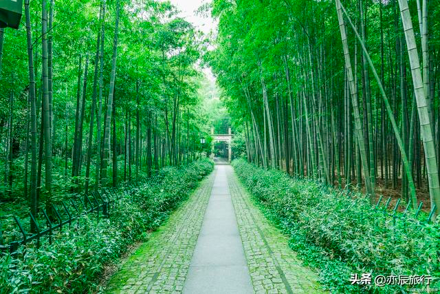 无锡旅游必去十大景点（来无锡一定要去的景点）