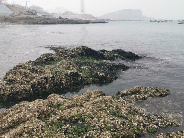 蟹子湾公园在哪里（蟹子湾海水浴场怎么样）