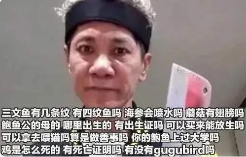 林北是什么意思梗（林北是什么意思梗）