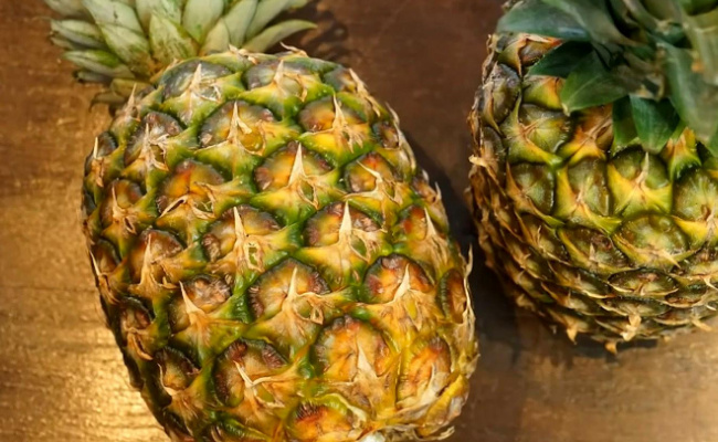 菠萝是由很多个果实组成的吗  菠萝有什么好处
