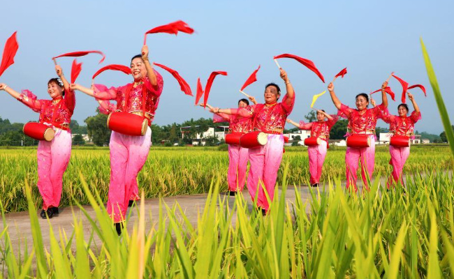 我国迎来第6个中国农民丰收节 有哪些意义