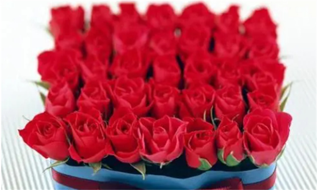 19朵玫瑰代表什么意思 19玫瑰代表什么爱情暗示