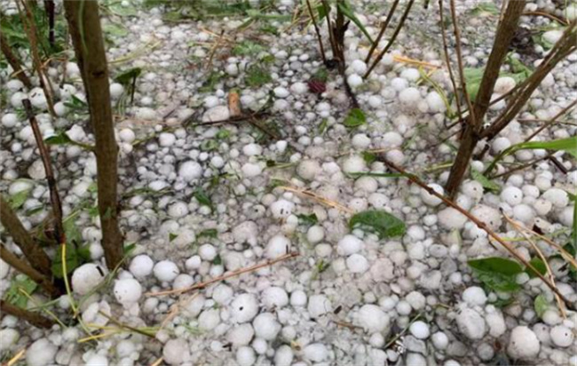 冰雹是怎样形成的 冰雹为什么出现在夏季