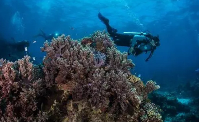 ​地下水成为澳大利亚大堡礁重要污染源吗