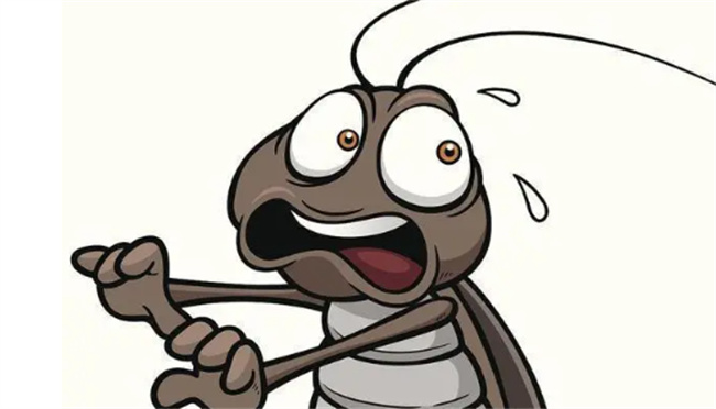 蟑螂怎么消灭最彻底 屋里有蟑螂是因为脏吗