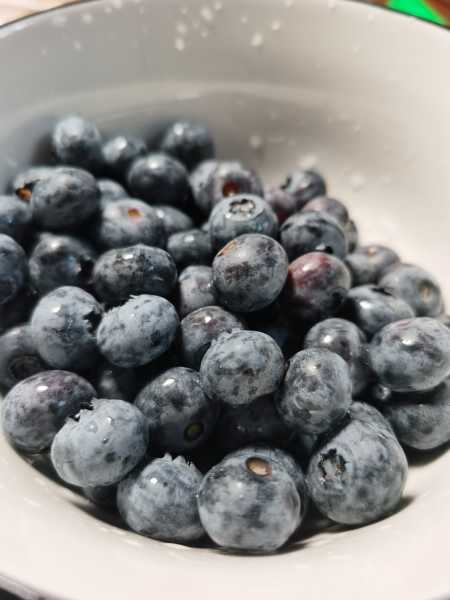 蓝莓种植方法，蓝莓图片（蓝莓的种植方法和注意事项）
