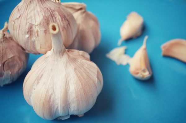 大蒜种植时间，大蒜什么时候种（大蒜什么时间种植最佳时间）